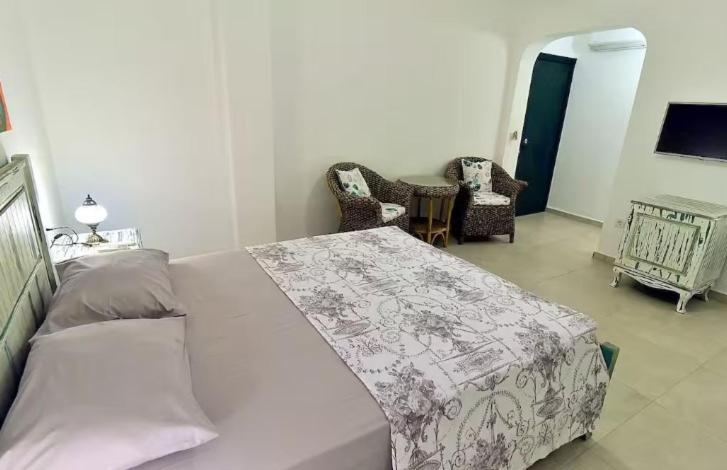 Bahama Art Hotel 图尔古特雷斯 外观 照片